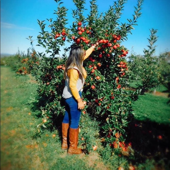 Meet your Posher, Clara - Picture 2 of 4